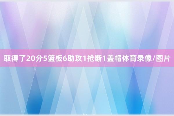 取得了20分5篮板6助攻1抢断1盖帽体育录像/图片