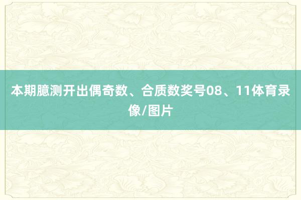 本期臆测开出偶奇数、合质数奖号08、11体育录像/图片