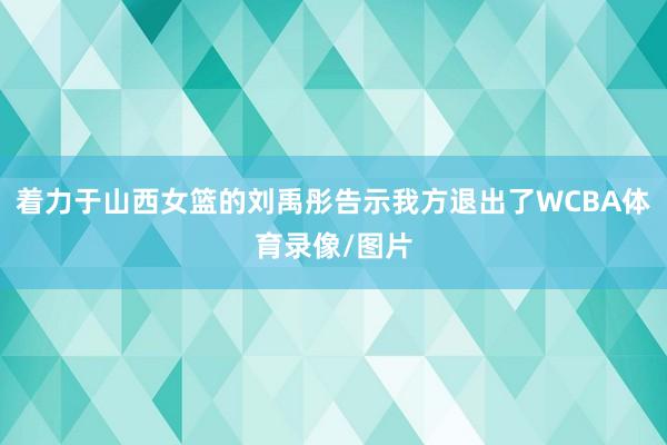 着力于山西女篮的刘禹彤告示我方退出了WCBA体育录像/图片
