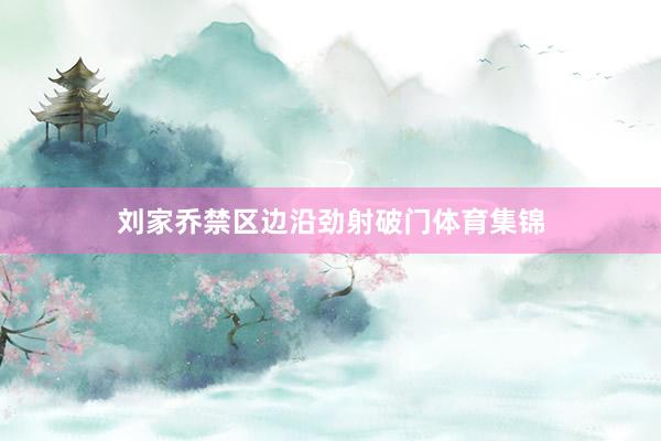刘家乔禁区边沿劲射破门体育集锦