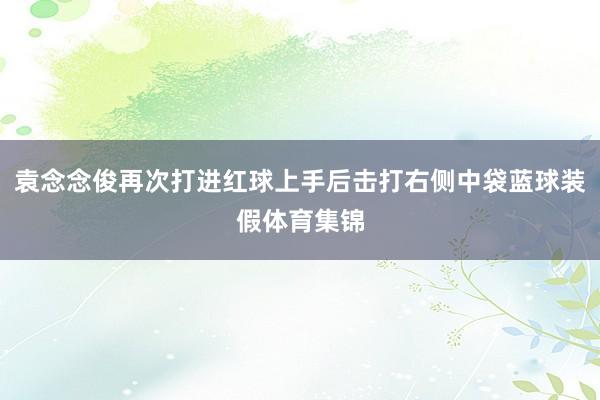 袁念念俊再次打进红球上手后击打右侧中袋蓝球装假体育集锦