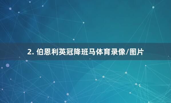 2. 伯恩利英冠降班马体育录像/图片