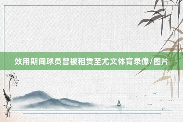 效用期间球员曾被租赁至尤文体育录像/图片