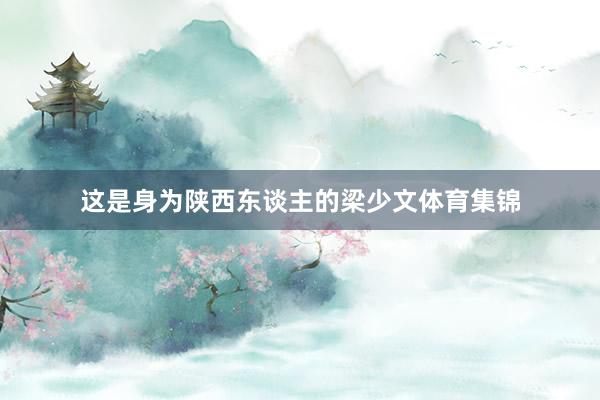 这是身为陕西东谈主的梁少文体育集锦
