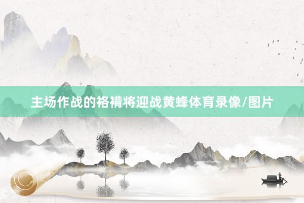 主场作战的袼褙将迎战黄蜂体育录像/图片