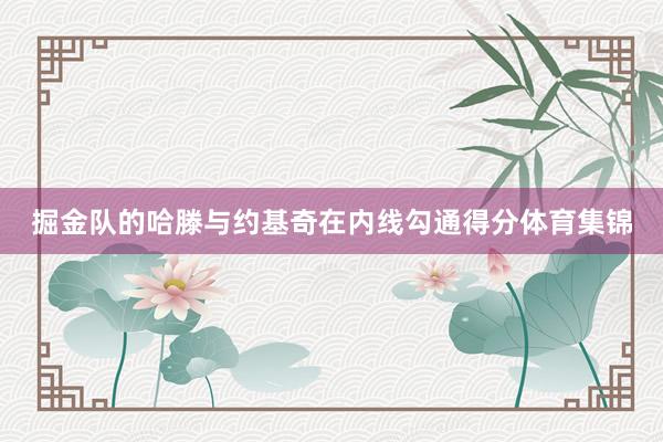掘金队的哈滕与约基奇在内线勾通得分体育集锦