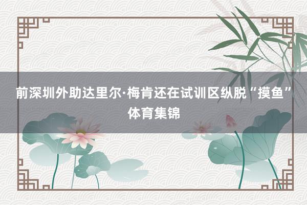 前深圳外助达里尔·梅肯还在试训区纵脱“摸鱼”体育集锦
