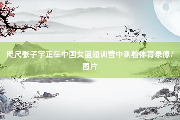 咫尺张子宇正在中国女篮短训营中测验体育录像/图片