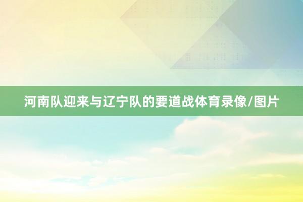 河南队迎来与辽宁队的要道战体育录像/图片