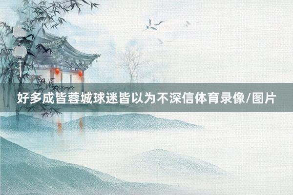 好多成皆蓉城球迷皆以为不深信体育录像/图片