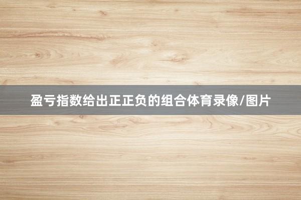 盈亏指数给出正正负的组合体育录像/图片