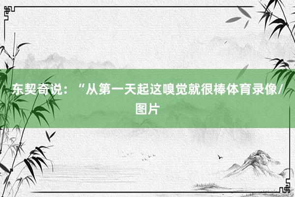 东契奇说：“从第一天起这嗅觉就很棒体育录像/图片