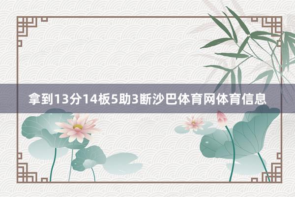 拿到13分14板5助3断沙巴体育网体育信息