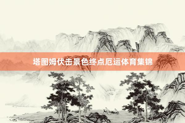 塔图姆伏击景色终点厄运体育集锦
