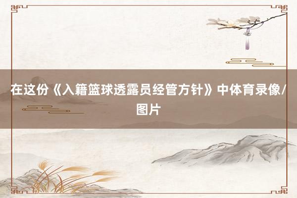 在这份《入籍篮球透露员经管方针》中体育录像/图片