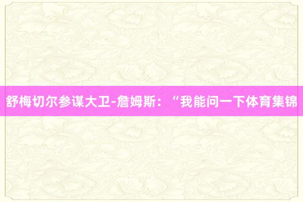舒梅切尔参谋大卫-詹姆斯：“我能问一下体育集锦