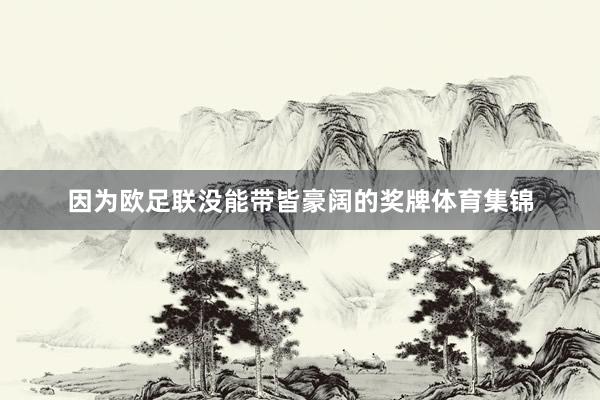 因为欧足联没能带皆豪阔的奖牌体育集锦