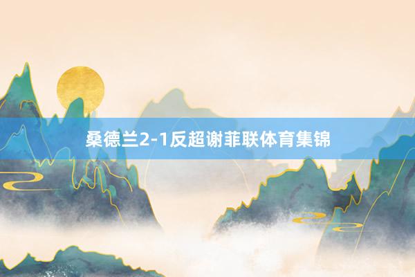 桑德兰2-1反超谢菲联体育集锦
