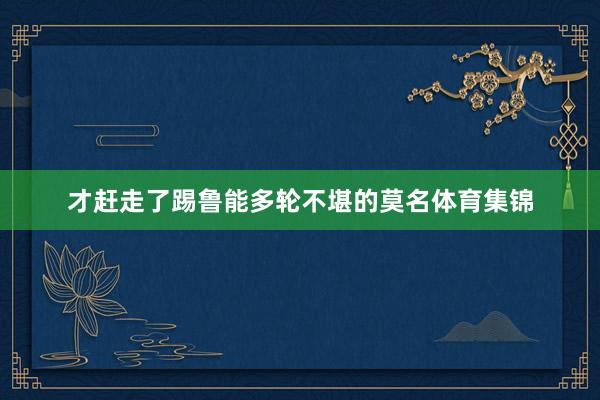 才赶走了踢鲁能多轮不堪的莫名体育集锦
