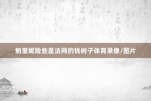 鲍里妮险些是法网的钱树子体育录像/图片