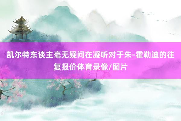 凯尔特东谈主毫无疑问在凝听对于朱-霍勒迪的往复报价体育录像/图片