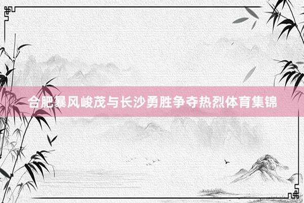 合肥暴风峻茂与长沙勇胜争夺热烈体育集锦