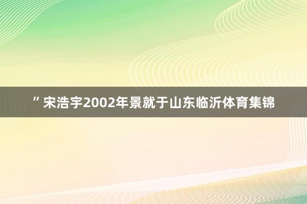 ”宋浩宇2002年景就于山东临沂体育集锦