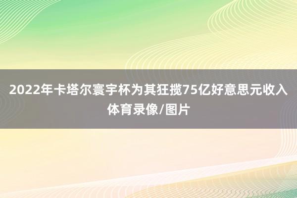 2022年卡塔尔寰宇杯为其狂揽75亿好意思元收入体育录像/图片