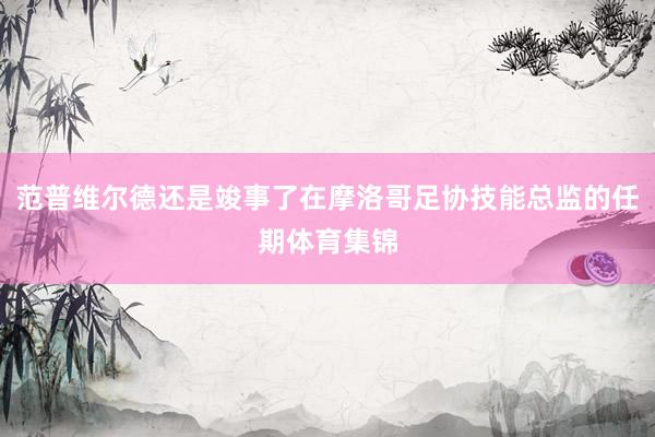 范普维尔德还是竣事了在摩洛哥足协技能总监的任期体育集锦
