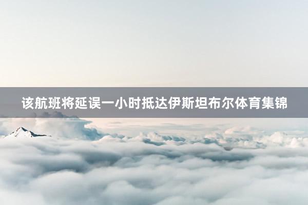 该航班将延误一小时抵达伊斯坦布尔体育集锦