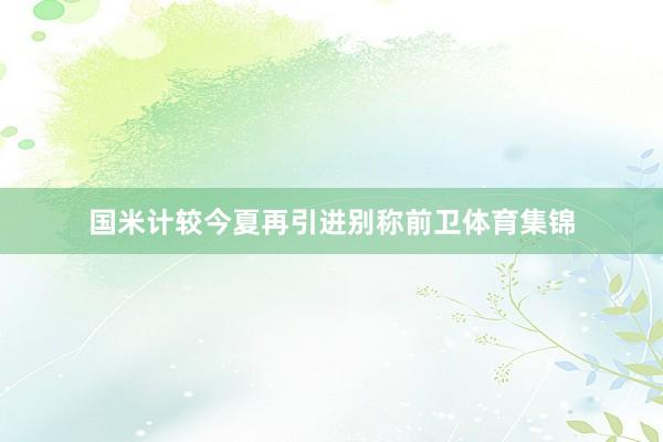 国米计较今夏再引进别称前卫体育集锦