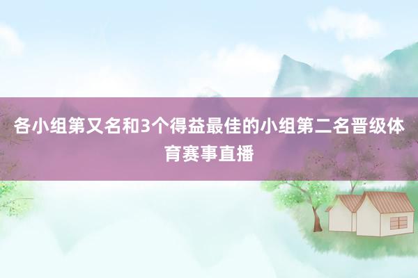 各小组第又名和3个得益最佳的小组第二名晋级体育赛事直播