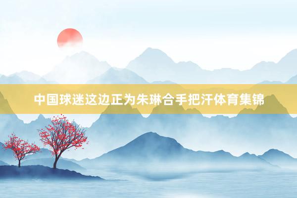 中国球迷这边正为朱琳合手把汗体育集锦