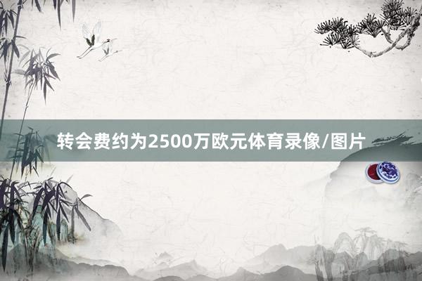 转会费约为2500万欧元体育录像/图片