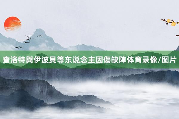 查洛特與伊波貝等东说念主因傷缺陣体育录像/图片