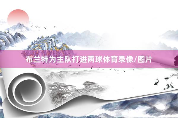 布兰特为主队打进两球体育录像/图片