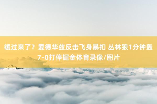缓过来了？爱德华兹反击飞身暴扣 丛林狼1分钟轰7-0打停掘金体育录像/图片