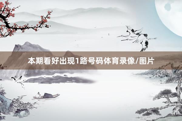 本期看好出现1路号码体育录像/图片