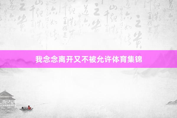 我念念离开又不被允许体育集锦