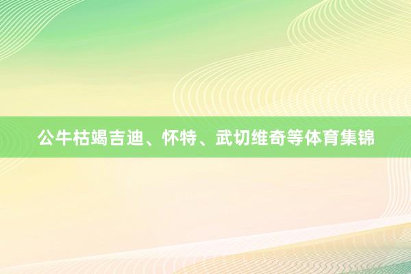 公牛枯竭吉迪、怀特、武切维奇等体育集锦