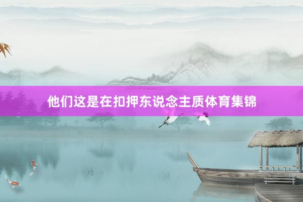 他们这是在扣押东说念主质体育集锦