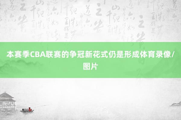 本赛季CBA联赛的争冠新花式仍是形成体育录像/图片