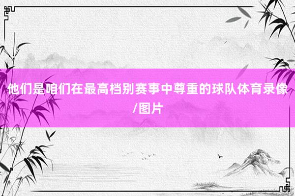 他们是咱们在最高档别赛事中尊重的球队体育录像/图片