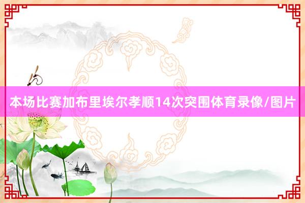 本场比赛加布里埃尔孝顺14次突围体育录像/图片