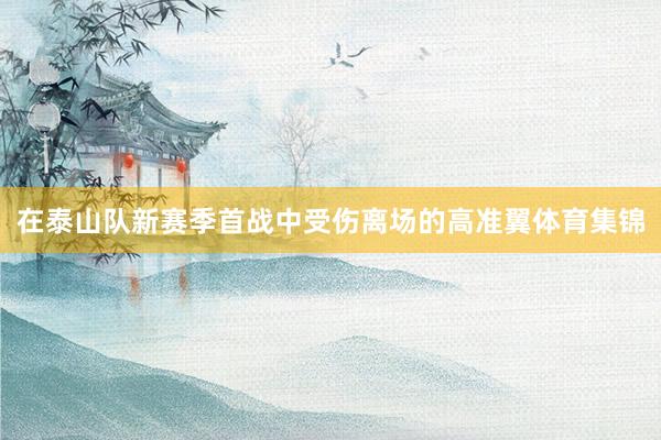 在泰山队新赛季首战中受伤离场的高准翼体育集锦