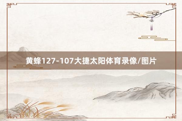黄蜂127-107大捷太阳体育录像/图片