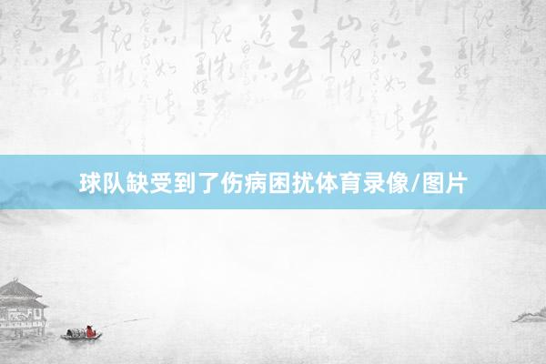 球队缺受到了伤病困扰体育录像/图片