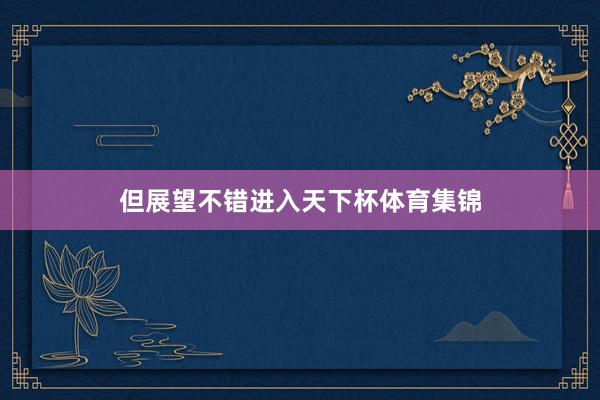 但展望不错进入天下杯体育集锦