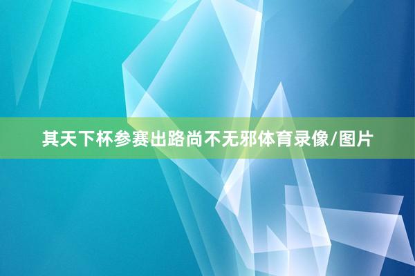 其天下杯参赛出路尚不无邪体育录像/图片