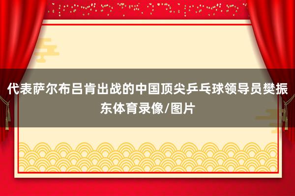 代表萨尔布吕肯出战的中国顶尖乒乓球领导员樊振东体育录像/图片